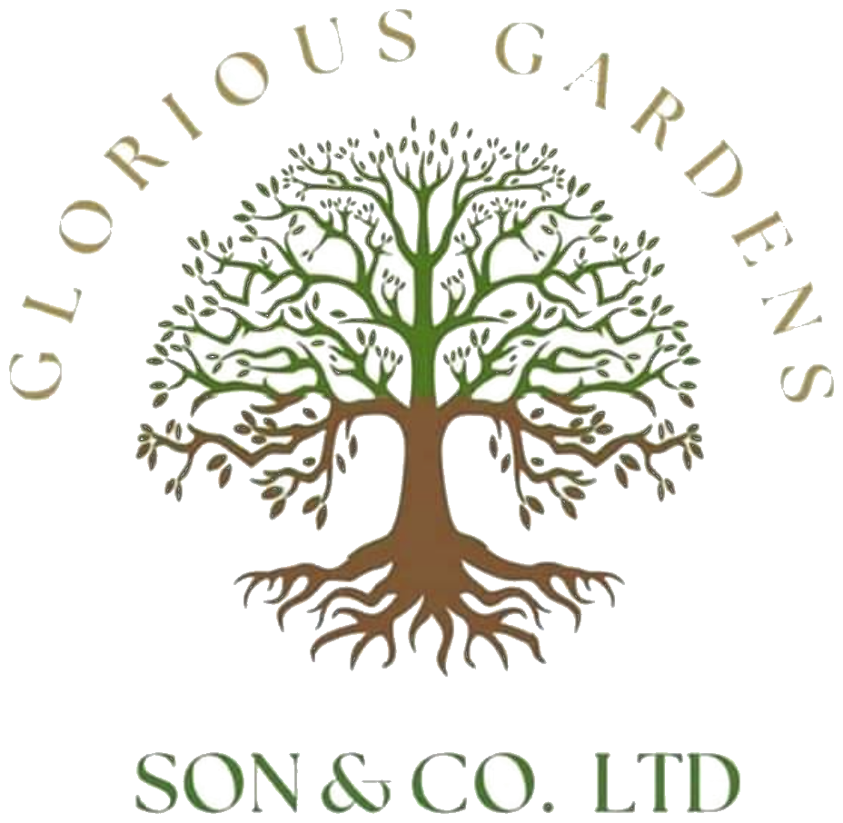 Glorious Gardens Son & Co.